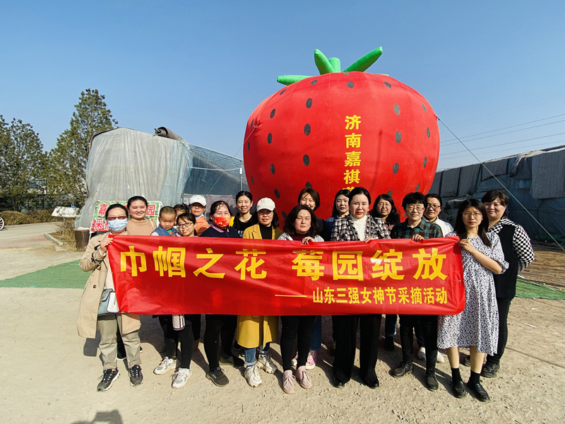 巾帼之花，莓园绽放 ——山东918博天堂组织“三八”节踏青采摘活动